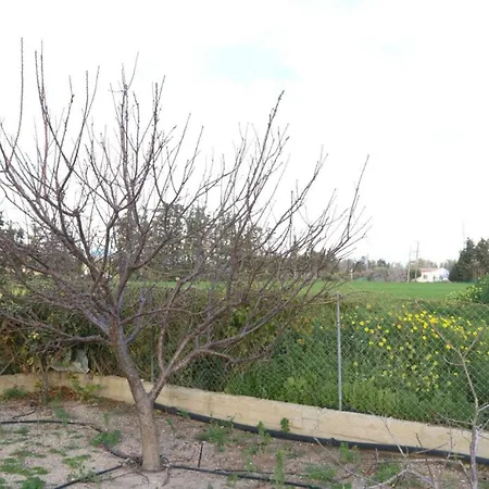 Agapinor Pafos