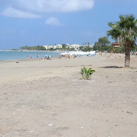 Agapinor * Pafos